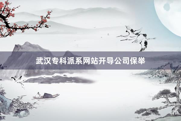 武汉专科派系网站开导公司保举