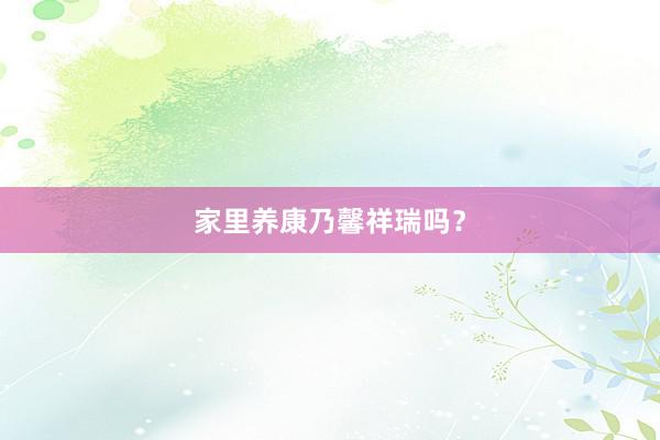 家里养康乃馨祥瑞吗？